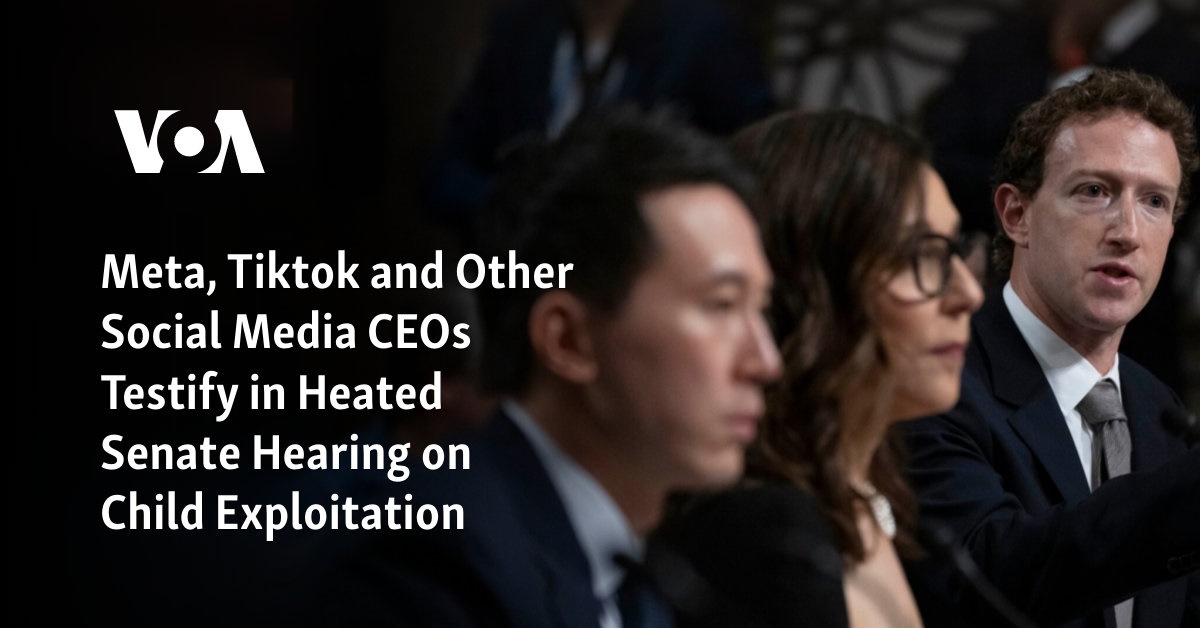 CEOs of Meta, Tiktok, and other social media platforms testify in heated Senate hearing on child exploitation.