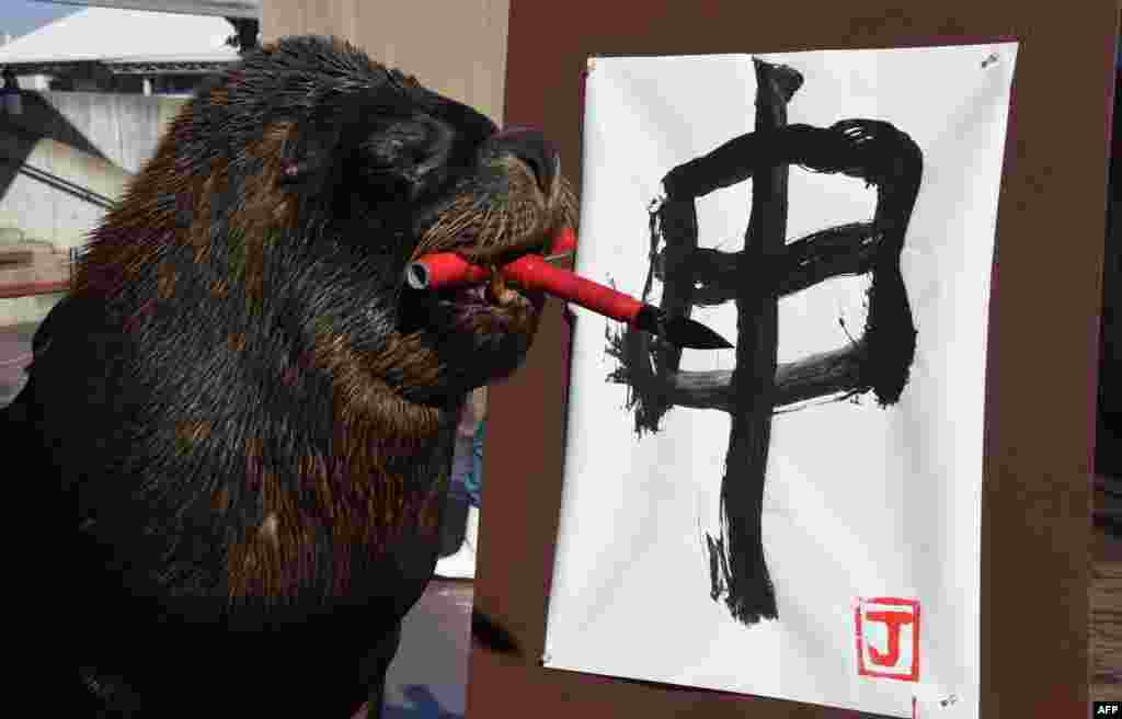 Eleven-year-old male sea lion Jay paints the character for &quot;monkey&quot; in calligraphy as part of a New Year&#39;s Day attraction at Hakkeijima Sea Paradise aquarium park in Yokohama, a suburb of Tokyo, Japan.