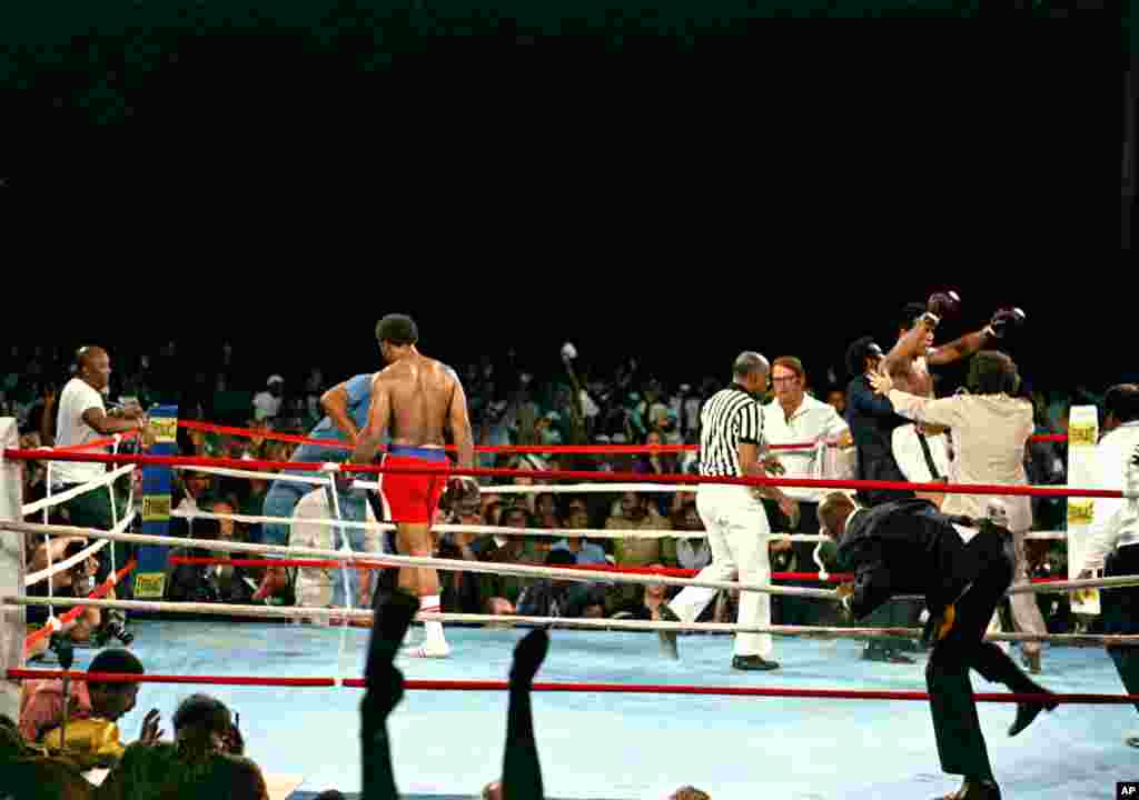 George Foreman, battu, repart à son coin tandis que son challenger Muhammad Ali, partiellement couvert, célèbre sa victoire à la fin du &nbsp;combat du championnat WBA/ WBC à Kinshasa, au Zaïre, le 30 Octobre, 1974. Ali reprend la couronne comme le champion du monde poids lourd incontesté par KO au &nbsp;huitième round de leur combat surnommé &laquo;Rumble in the Jungle&raquo;. (AP Photo) 