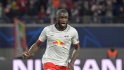 Tenin don farikolo ngnenanje kunnafoniw, sanfe celu ngongon dan koroceli