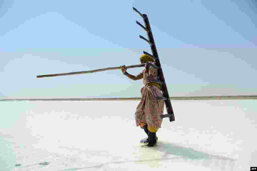 70岁的印度盐工阿尤比肩扛耙子在印度桑德尔布尔地区的盐田。