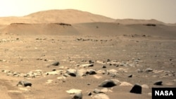 “毅力号”在火星上拍摄到的“机智号”第三次飞行。(2021年4月25日)