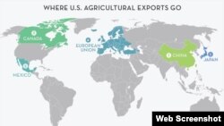 AVŞ-ın məhsul ixrac etdiyi ölkələr
