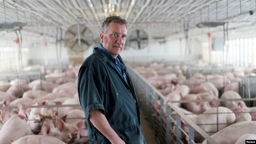 资料照片：美国伊利诺伊州的农场主布赖恩·邓肯在其养猪场内。（2018年4月9日）(photo:VOA)