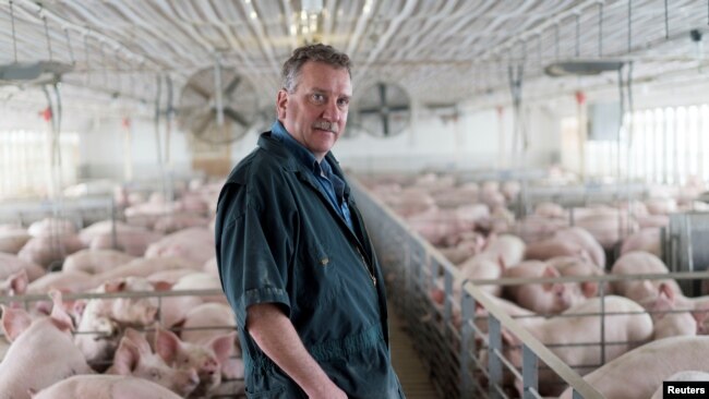 美國伊利諾伊州州農場主布萊恩·鄧肯在其養豬場內。（2018年4月9日）