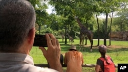 U.S. Air Force Col. Mark Henderson of Mississippi takes video of giraffes at the Nashville Zoo during early stages of the eclipse in Nashville, Tenn., Aug. 21, 2017. 
