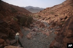 In this March 6, 2017 photo, Peter Kelemen, 61, Oman Drilling Project lead, walks down a valley through a rare exposure of the Earth's mantle, in the al-Hajjar Mountains of Oman.