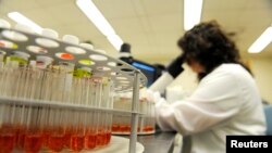 Los Centros para Control y Prevención de Enfermedades han enviado cinco investigadores al Departamento de Salud de Wisconsin para ayudar a determinar si hay un vínculo entre todas las personas infectadas por la bacteria.