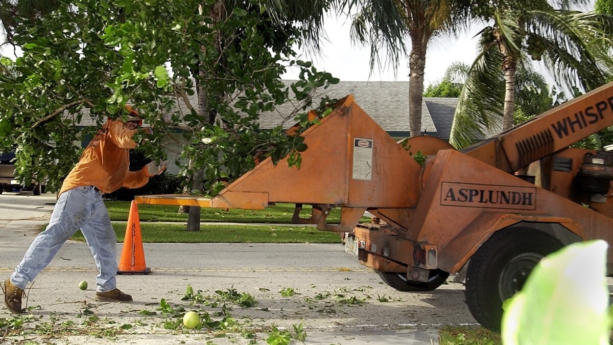 Asplundh Tree Service Trucks