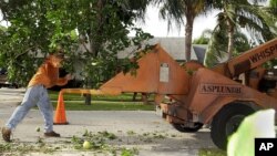 FILE - A worker feeds a tree branch through an Asplundh chipper in Boca Raton, Fla. 