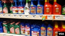 Neonicotinoid pesticide imidacloprid is the active ingredient in many retail insecticides such as these. (VOA/T.Banse)