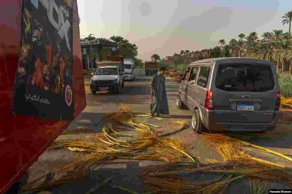 Farmers toss leafy palm branches on public roads to advertise their freshly harvested dates, in Cairo, Sept. 9, 2021. After vehicle tires crush the branches, they are repurposed for various weaving projects, a practice considered illegal because it makes 