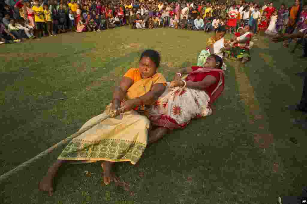 جمعی از زنان هندی در جشن برداشت محصول در مسابقه طناب کشی شرکت کرده&zwnj;اند.