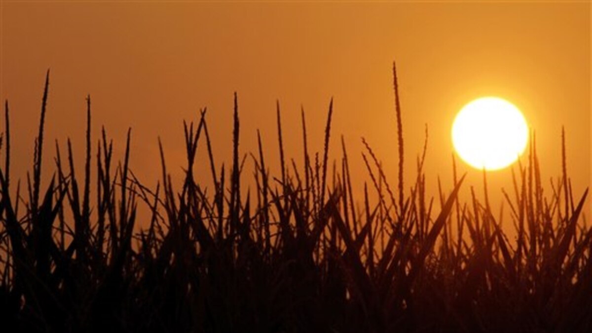 globally-june-2014-was-the-hottest-june-on-record-says-noaa