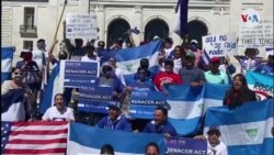 Nicaraguenses frente a OEA