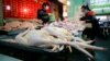 In a worrisome sign, a bird flu in China appears to have mutated so that it can spread to other animals, raising the potential for a bigger threat to people, scientists said, Apr. 4, 2013.