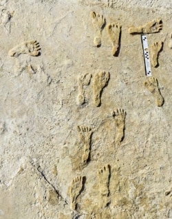 This undated photo made available by the National Park Service in September 2021 shows fossilized human fossilized footprints at the White Sands National Park in New Mexico. According to a report published in the journal Science on Thursday, Sept. 23, 202