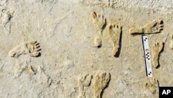 ردپاهای کشف شده در ایالت نیومکزیکو