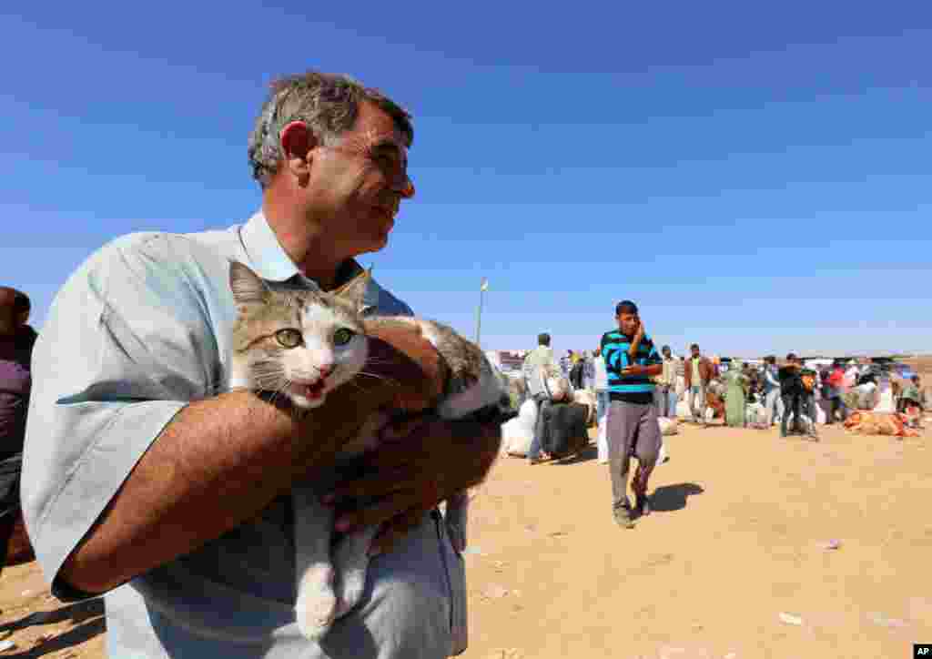Muhammed Ali, a Syrian Kurd from Kobani, Syria, holds his cat as thousands of new Syrian refugees arrive at the Turkey-Syria border crossing of Yumurtalik near Suruc, Turkey, Oct. 1, 2014. 