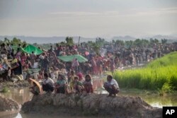 FILE - Newly arrived Rohingya Muslims, who crossed over from Myanmar into Bangladesh, rest in a field after spending a night in the open as they have been prevented from moving ahead towards refugee camps by Bangladesh border guard soldiers at Palong Khali, Bangladesh.