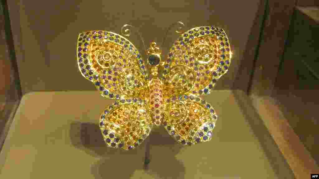 Amerikan Doğa Tarihi Müzesi: Kelebekler