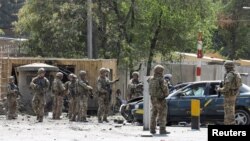 حضور نیروهای ناتو در محل انفجار انتحاری طالبان در کابل - پنجشنبه ۱۴ شهریور 
