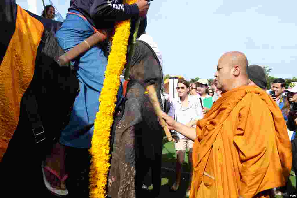 Seorang biksu memberkati gajah-gajah yang akan bermain polo. (Steve Herman/VOA).