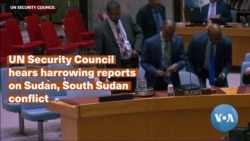 UN Security Council hears harrowing reports on Sudan, South Sudan conflict