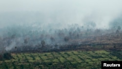 FILE - An aerial view of burned trees during the haze in Indonesia's Riau province, June 28, 2013. 