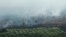 FILE - An aerial view of burned trees during the haze in Indonesia's Riau province, June 28, 2013. 
