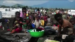 FAO : Wakazi milioni 22 DRC wakabiliwa na uhaba wa Chakula