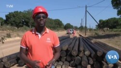 Moçambique: EDM faz limpeza da linha de Mocímboa da Praia
