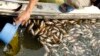 Aid Group Warns: Clean Water for All Is Still Centuries Away 