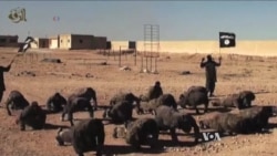 Foreign Fighters May Not Be as Big a Threat as Feared