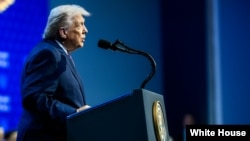 د امریکا د متحدو ایالتونو ولسمشر ډونالډ ټرمپ