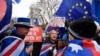 Demonstran Inggris Tuntut Pemungutan Suara soal Kesepakatan Brexit