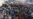 UN Security Council Delays Vote on Aid Resolution in Bid for US Support