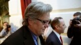 Steve Bannon