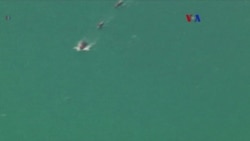 Satélites revolucionarios de rastreo aéreo