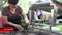 Truyền hình vệ tinh VOA 21/1/2020: Tết Canh Tý (Số đặc biệt)