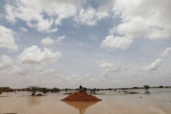 A Sudanese sits on a mound at a flooded field near the town of Osaylat, 60 km southeast of the capital in Khartoum, Sudan, Aug. 7, 2020.