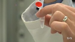 Scientists Get Closer to Building Artificial Life