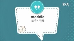 学个词--meddle