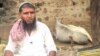 WATCH: Indian Village Fears Deadly Assaults by Cow Vigilantes Threaten their Livelihood