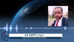 በሁለቱ ኮሚሽኖች የጣምራ ምርመራ ውጤት ላይ የባለሞያ አስተያየት