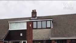 Karantina Tombalasında Büyük Ödül Tuvalet Kağıdı