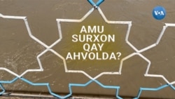 Surxondaryo Amudaryo suvini qanday sarflaydi?