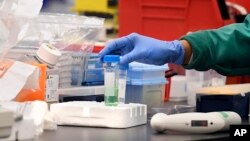 FILE - A researcher at Protein Sciences works in a lab in Meriden, Connecticut, March 12, 2020, when the biotech company was researching a vaccine for COVID-19.