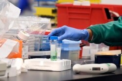 Дослідник в Protein Sciences працює в лабораторії в Мериден, Коннектикут, над вакциною проти COVID-19