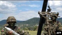 ქართულ -ამერიკული სამხედრო წვრთნები